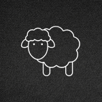 Merino Wool
